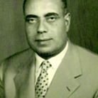 أحمد محمد الحوفي