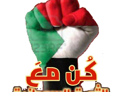 مَعَد شيخون   -  قصيدة أم الشهيد.. من القصائد الحزينة للثورة السودانية المظفرة