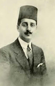 محمد تيمور