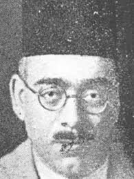 محمود البشبيشي
