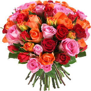 roses-variees-envoi-50-9610-550.jpg