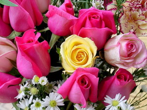 img_1369101196_495.jpg