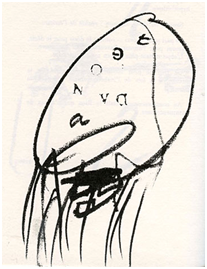 1662407404995.png
