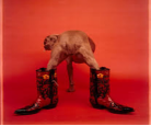 1754376130197.png