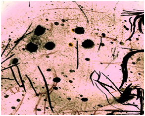 1780830979871.png