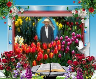 السيد عبد الفتاح القرقني.jpg