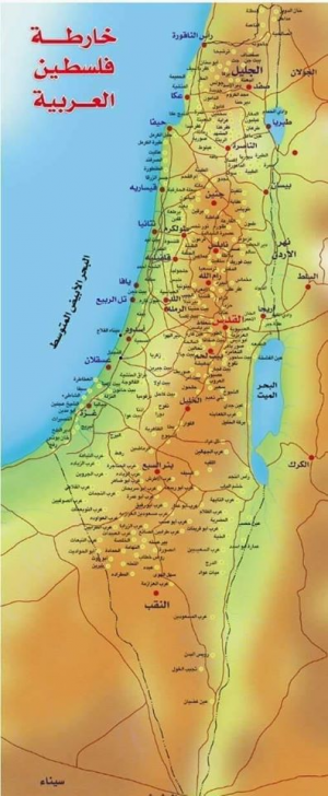 سعيد كنِّيش  -   لماذا فلسطين المحتلة قضية وطنية؟ .