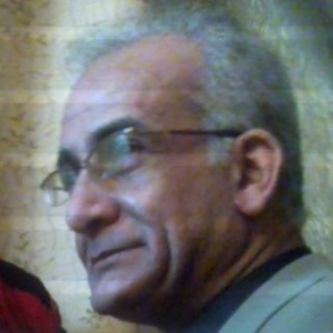 محمد السلاموني