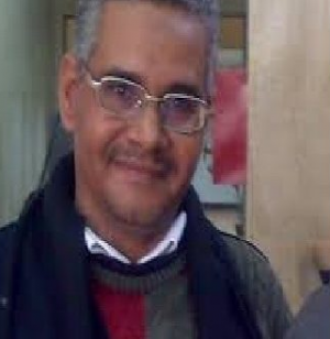 محمود الازهري