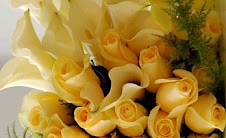 هايكو برائحة الورود و الزهور ( ج 7 )  ترجمة: بنيامين يوخنا دانيال
