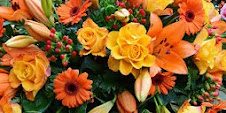 هايكو برائحة الورود و الزهور ( ج 8 )   ترجمة: بنيامين يوخنا دانيال