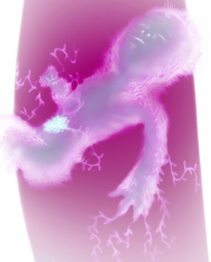 1667126021850.png