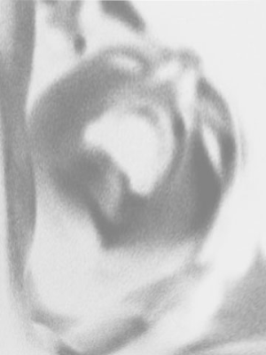 1667126767540.png