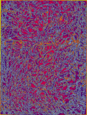1667127307192.png
