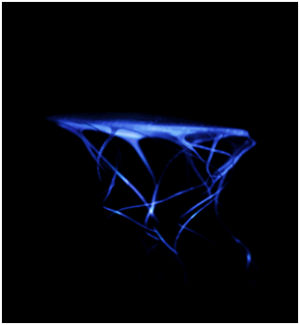 1668599308019.png