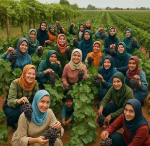 المهدي ضربان   -     حزنت كثيرا لوفاة طيور الجنة!!!...   الرحمة على بنات المنوفية