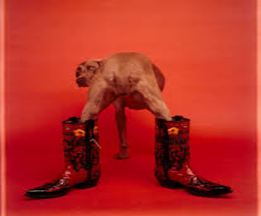 1754376169410.png