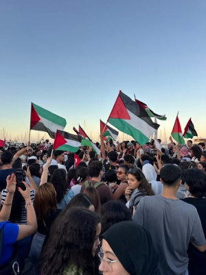 محمد علي   -     استقبال بنزرت لأسطول الحرية يعيد للأذهان استقبالهم لابطال فلسطين سنة 1982