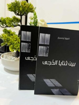 ناعم زينب جيهان    -      فيروز تيمسرار...  "بين ثنايا الدجى": قراءة في رحلة الوعي الإنساني