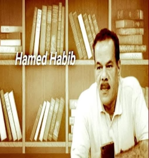 حامد حبيب