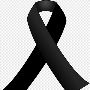 الأديبة لطفية الدليمي في ذمة الله