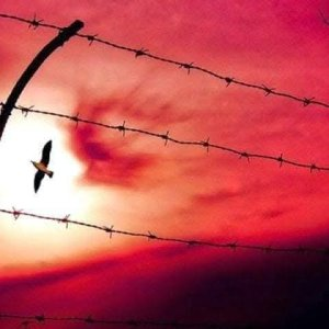 البشير عبيد -  الأسرى الفلسطينيون: حين تتحوّل الزنازين إلى المعركة الأخيرة