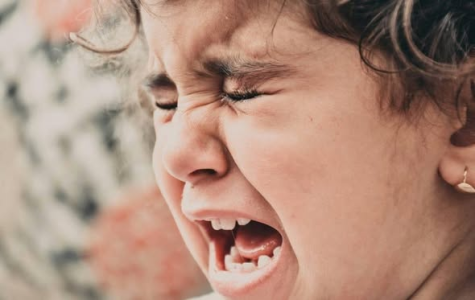 يحيى بركات  - من يدٍ تحمل الهاتف.. إلى عينٍ ترى العالم الميكرودراما... حين تتحرر الحكاية الفلسطينية من شروط الإنتاج