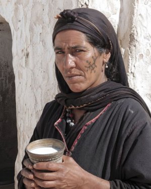 سعيد حجي   -   قدح اللبن...