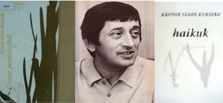 يانوس كورزان    -    لوحة دلالة من أجل الفراشات .. قصائد هايكو -  ترجمة : بنيامين يوخنا دانيال