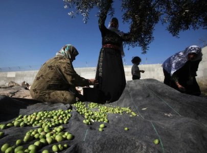 يحيى بركات     -    هل بدأ العالم الذي وُلد بعد 7 أكتوبر بالخروج من الظل؟