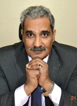 د/محروس عامر