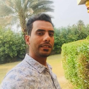 محمد محسن
