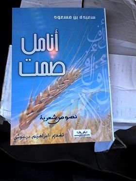 إبراهيم درغوثي  -  في مدح الصّمت..  مقدمة لديوان أنامل الصمت لسعيدة بن مسعود